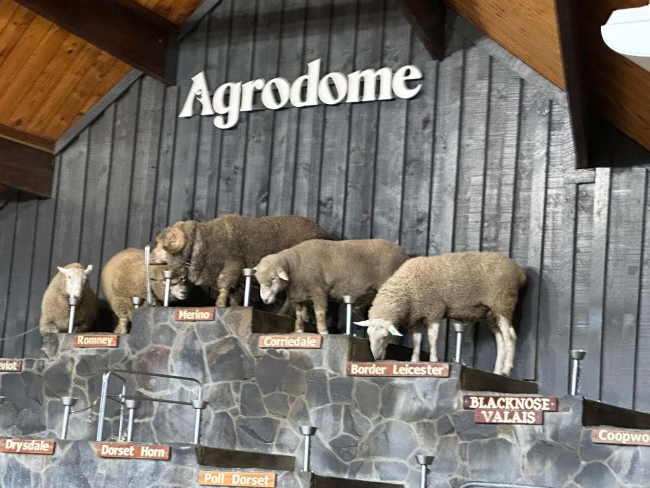 agrodome-ciftligi1