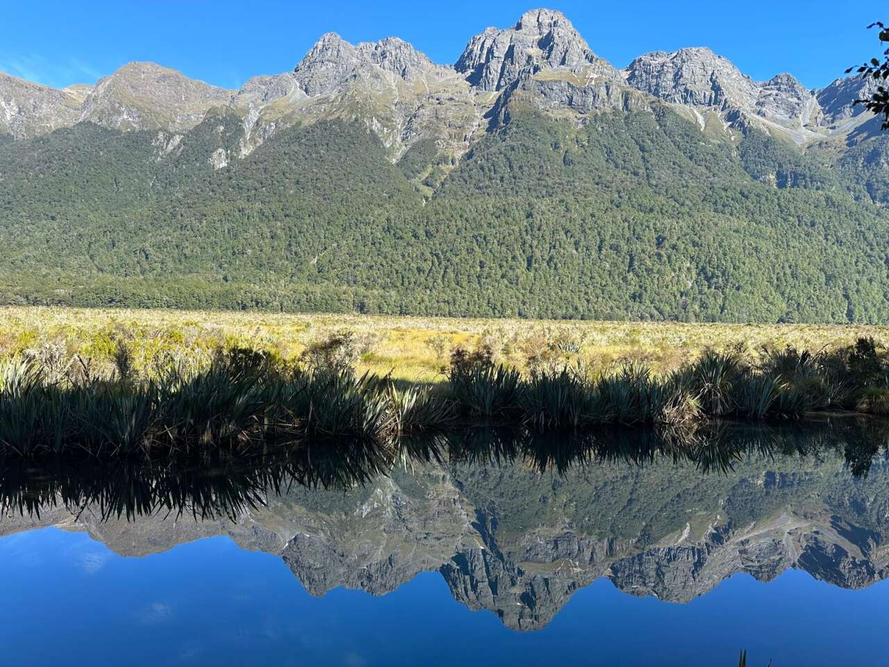 fiordland-ulusal-parki2
