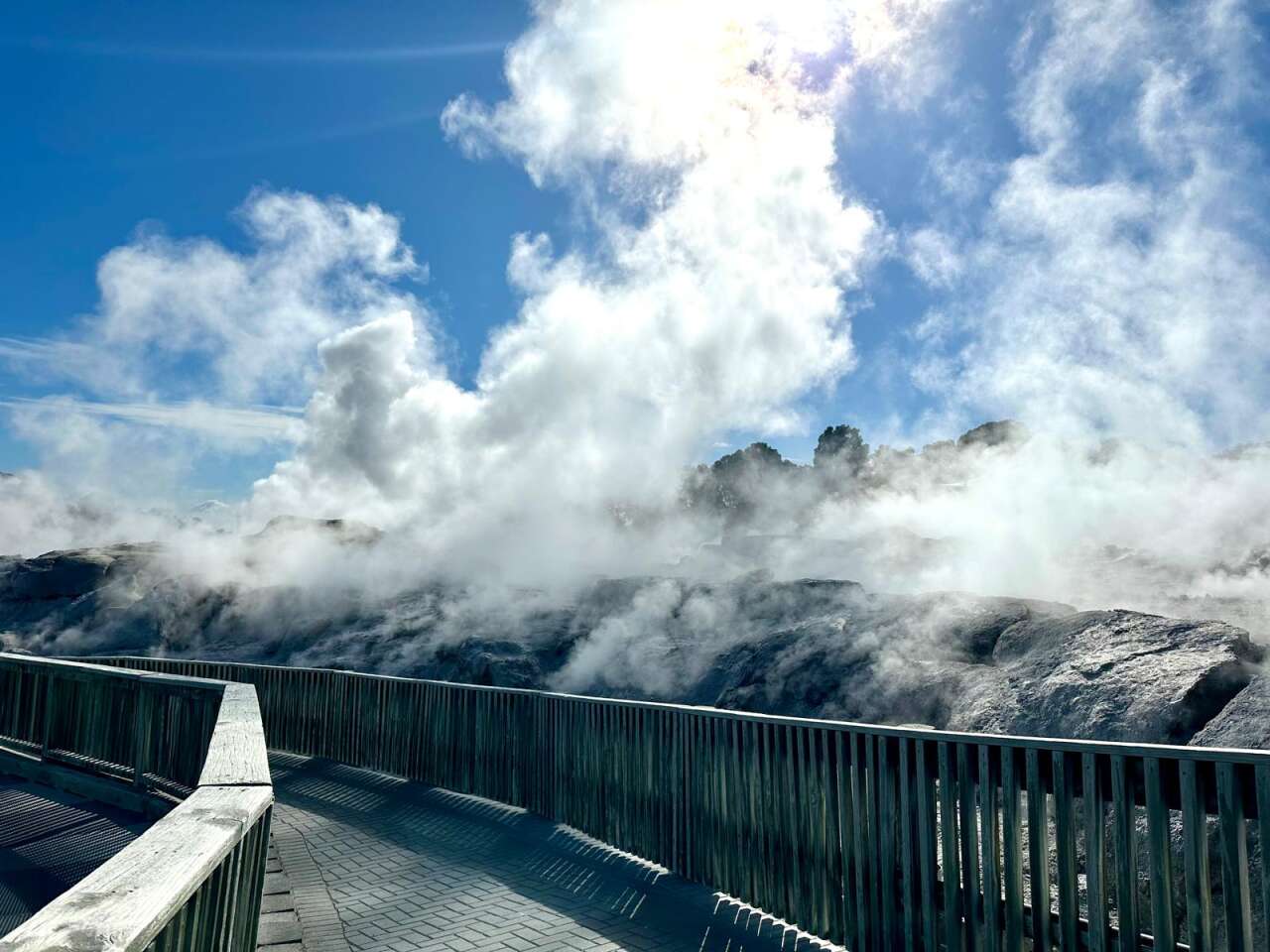 whakarewarewa-vadisindeki-pohotu-gayzeri