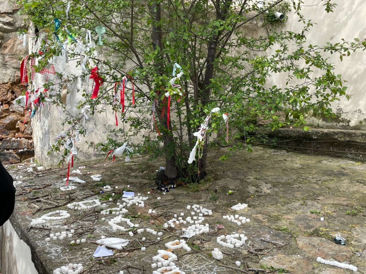 whatsapp-image-2026-04-28-at-16-35-24-1