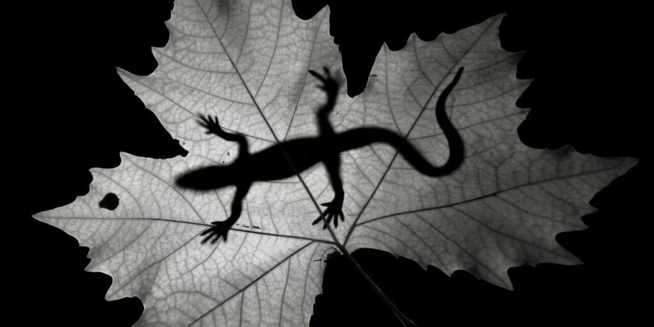 image-69faf249434803-24848138