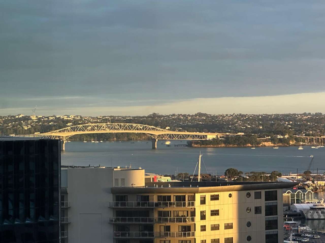 auckland-liman-koprusu1