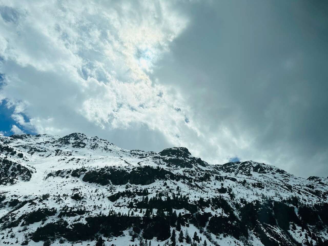davos