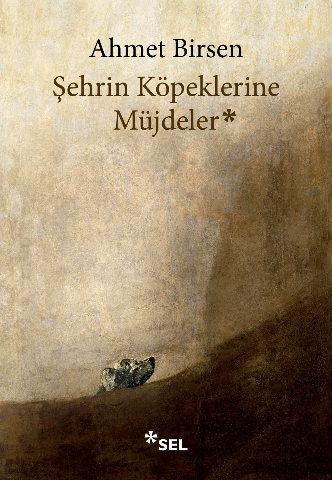 sehrin-kopeklerine-mujdeler-2606101132