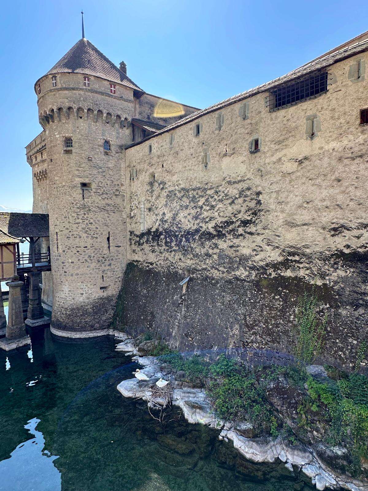 chillon-satosu