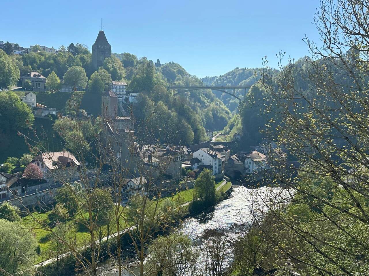 fribourg-sarine-nehri