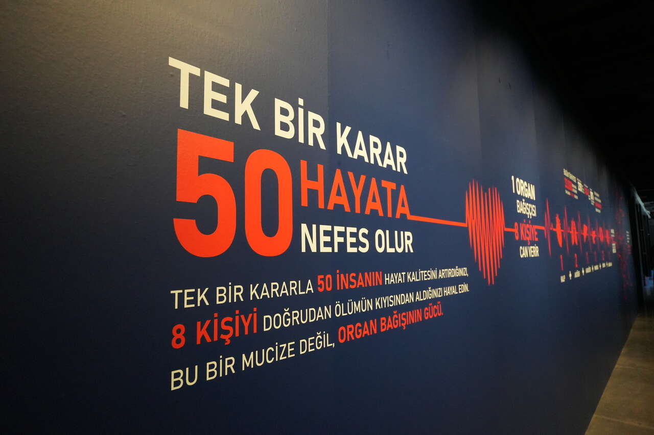 50-hayat-1