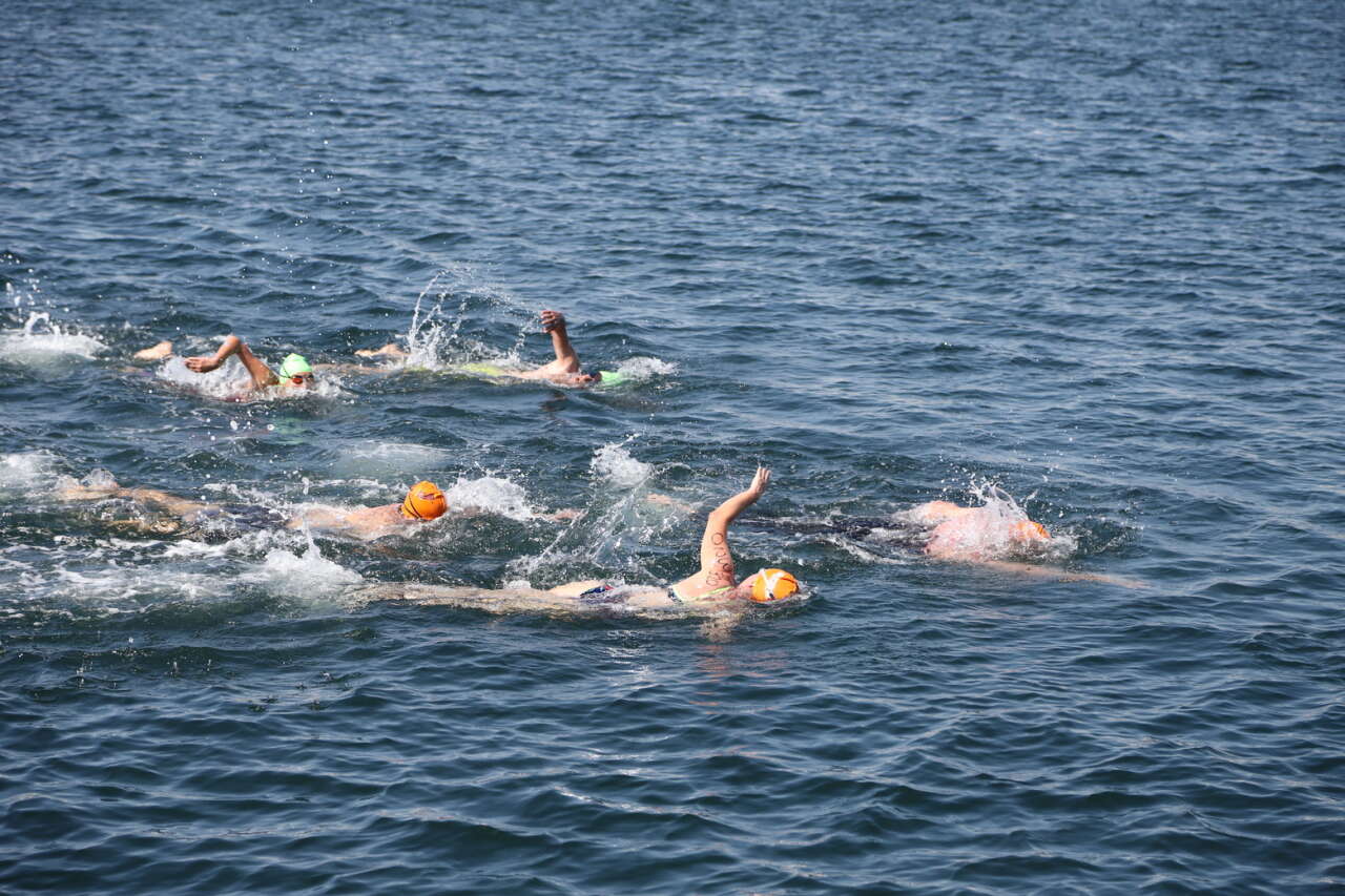 img-1677