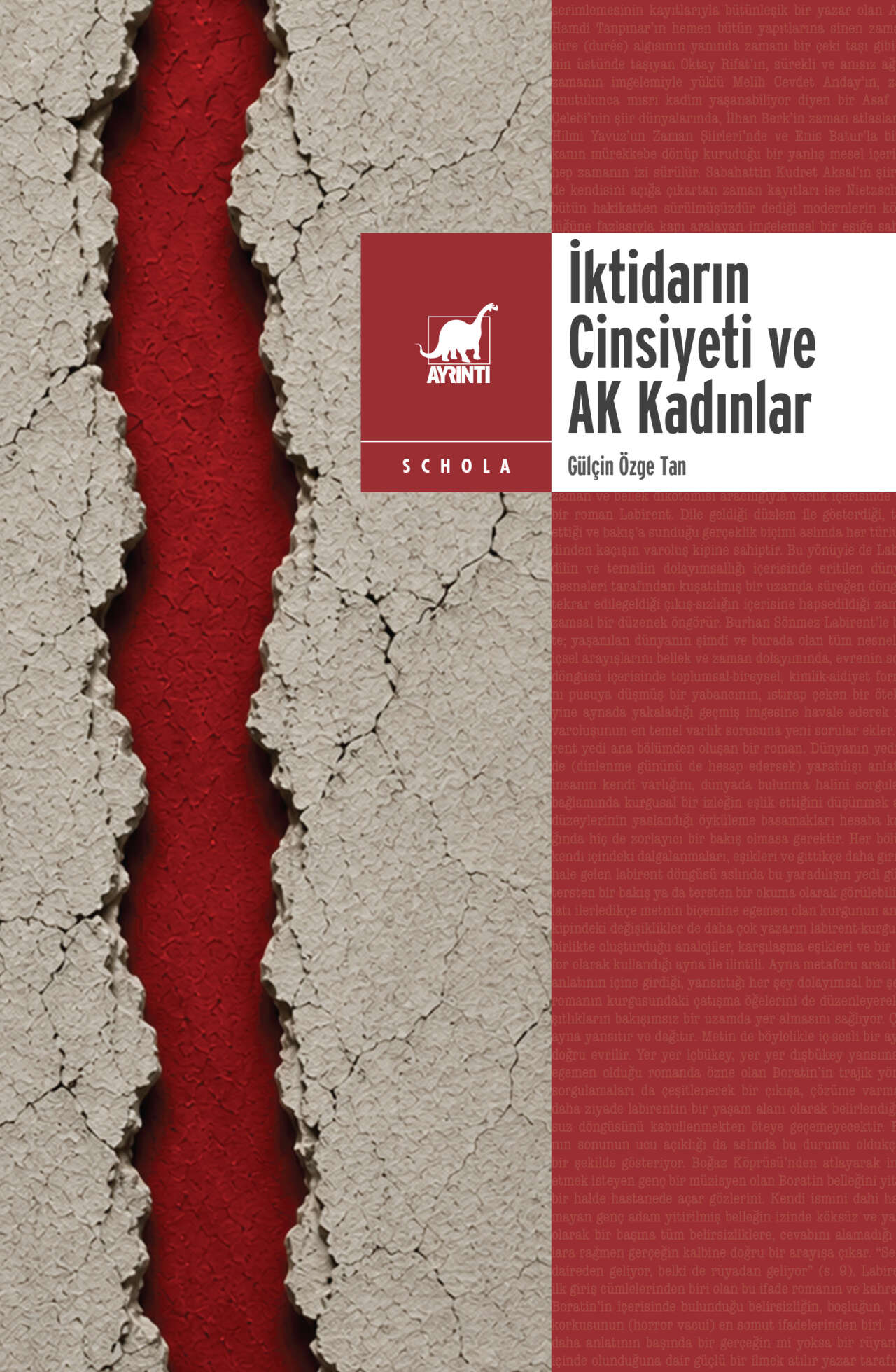 iktidarin-cinsiyeti-ve-ak-kadinlar-kapak