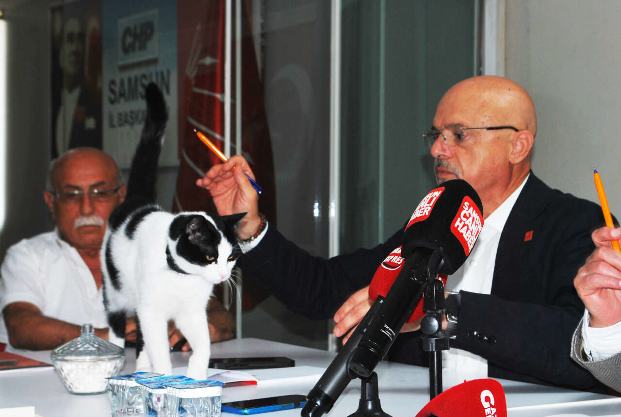 kedi-butlana-itiraz-1
