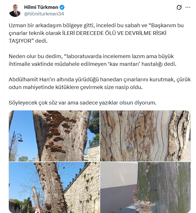 hilmi-turkmen