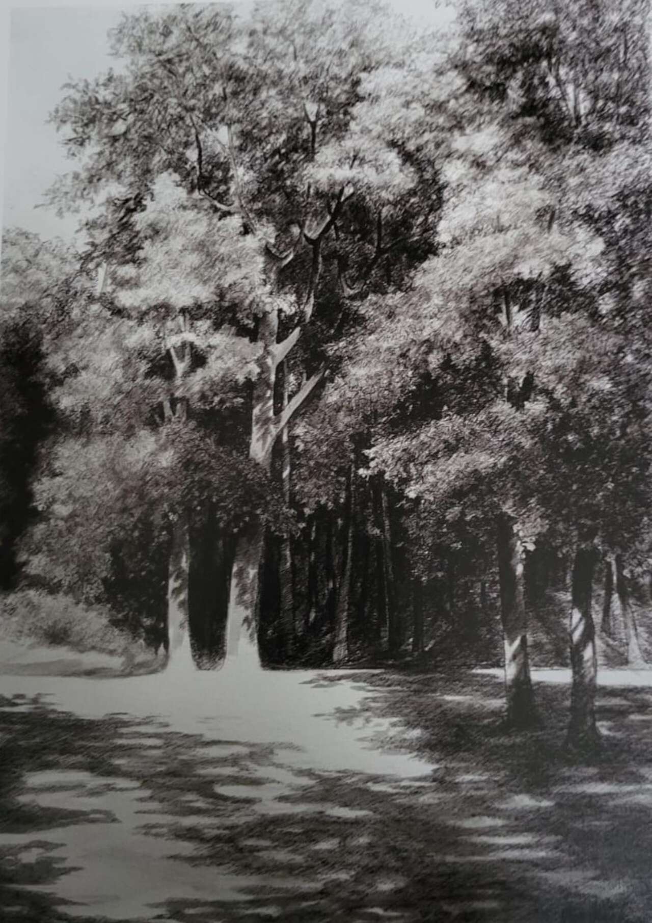aysu-kocak-205341375