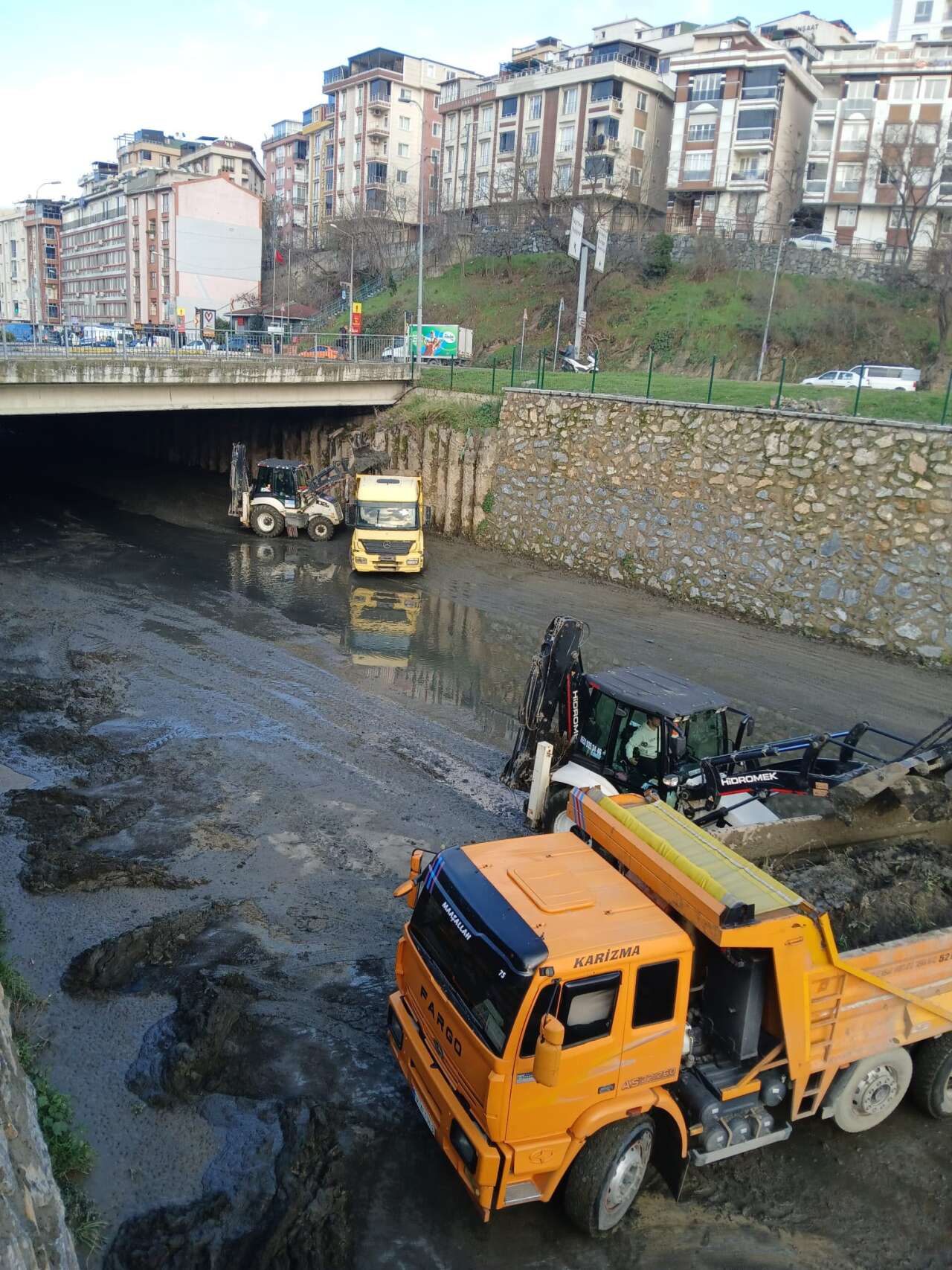 halic-temizlik-2