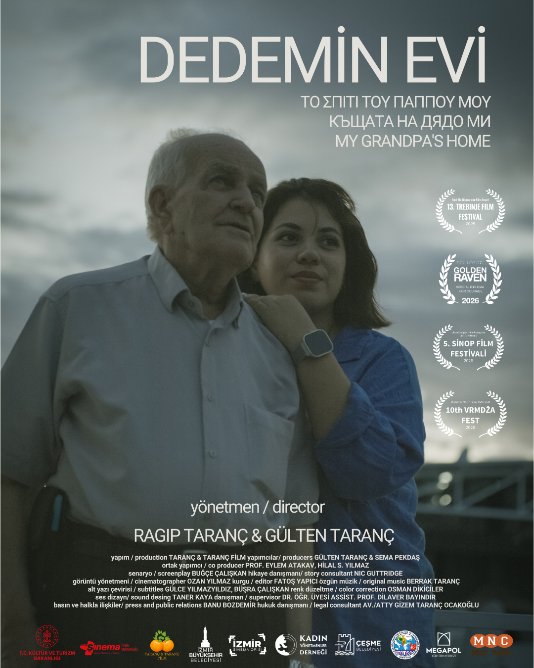 dedemin-evi-afis