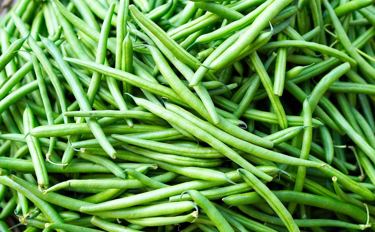 beans-4523422-1280