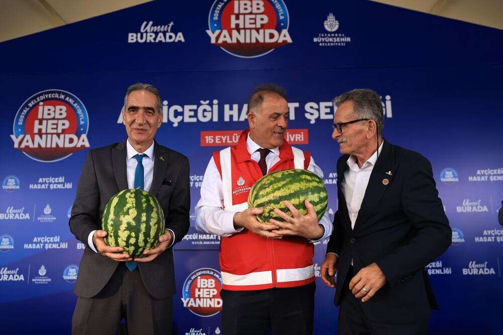 aycicegi-hasat-senligi2