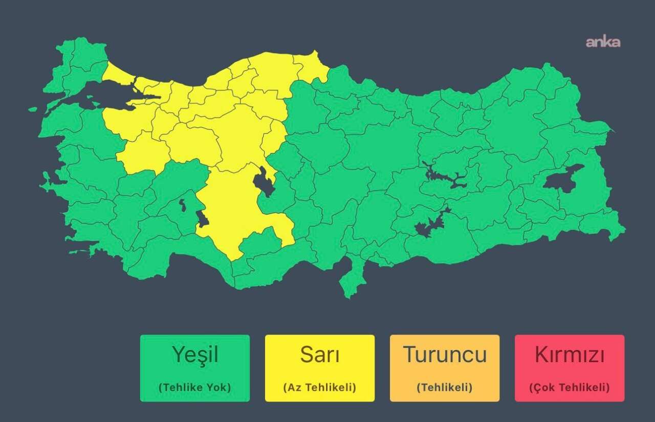 sari-kod