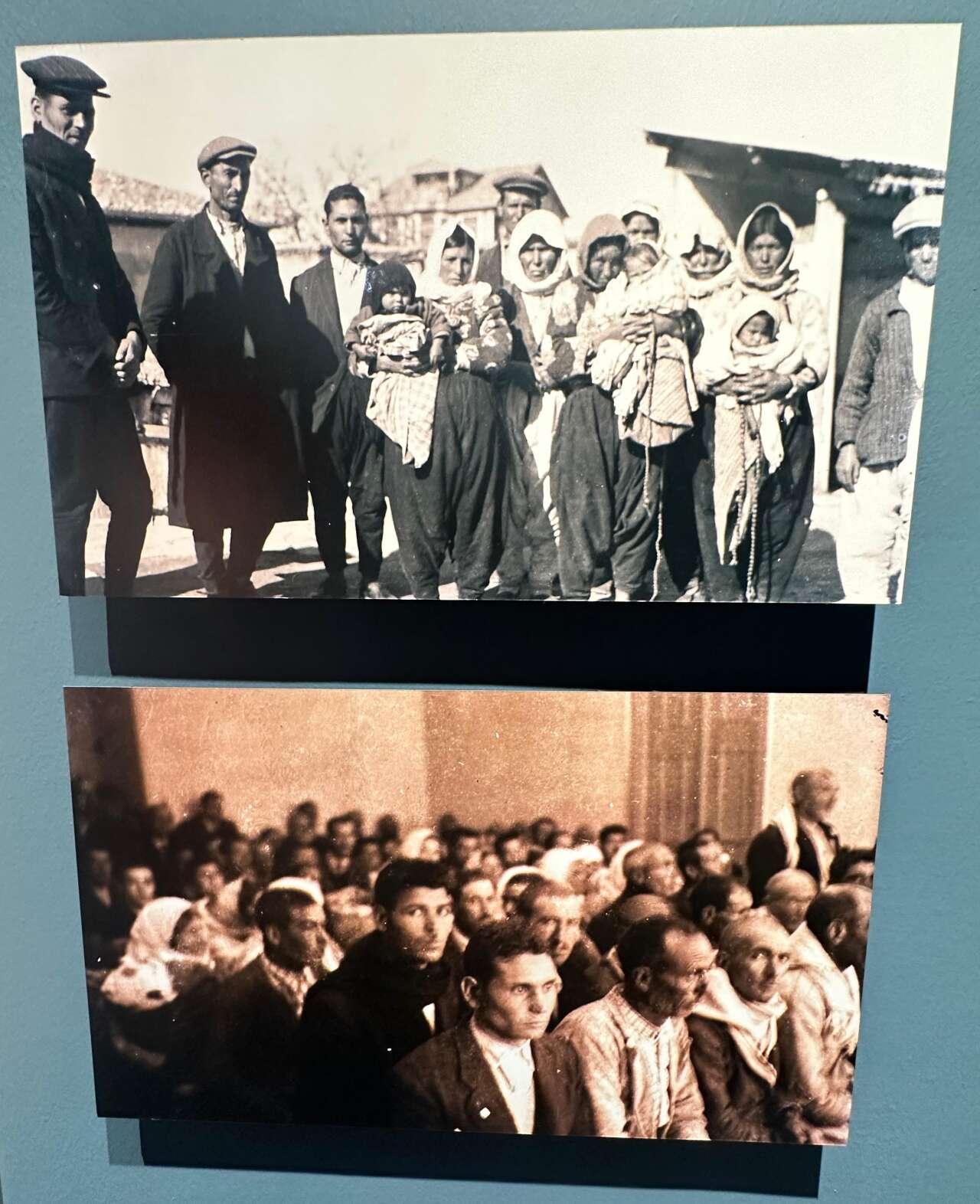 aslankoy-kutu