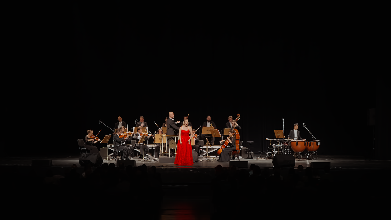 stauss-concert-show-2-jpg